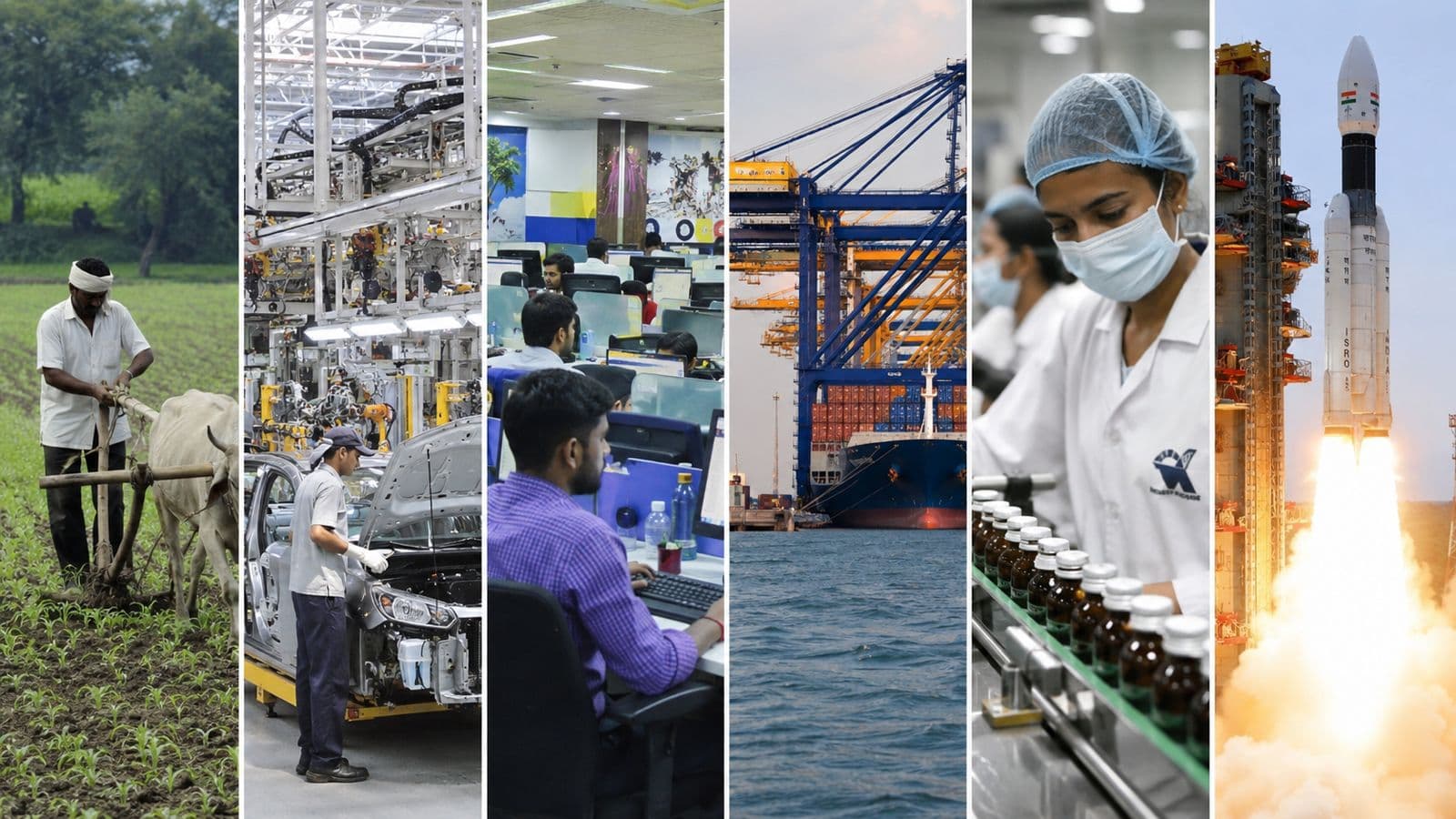 Economic sectors where India dominates the Global Market.