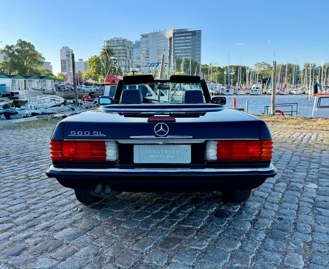 Over coming world wars, betrayals and establishing Mercedes-Benz.