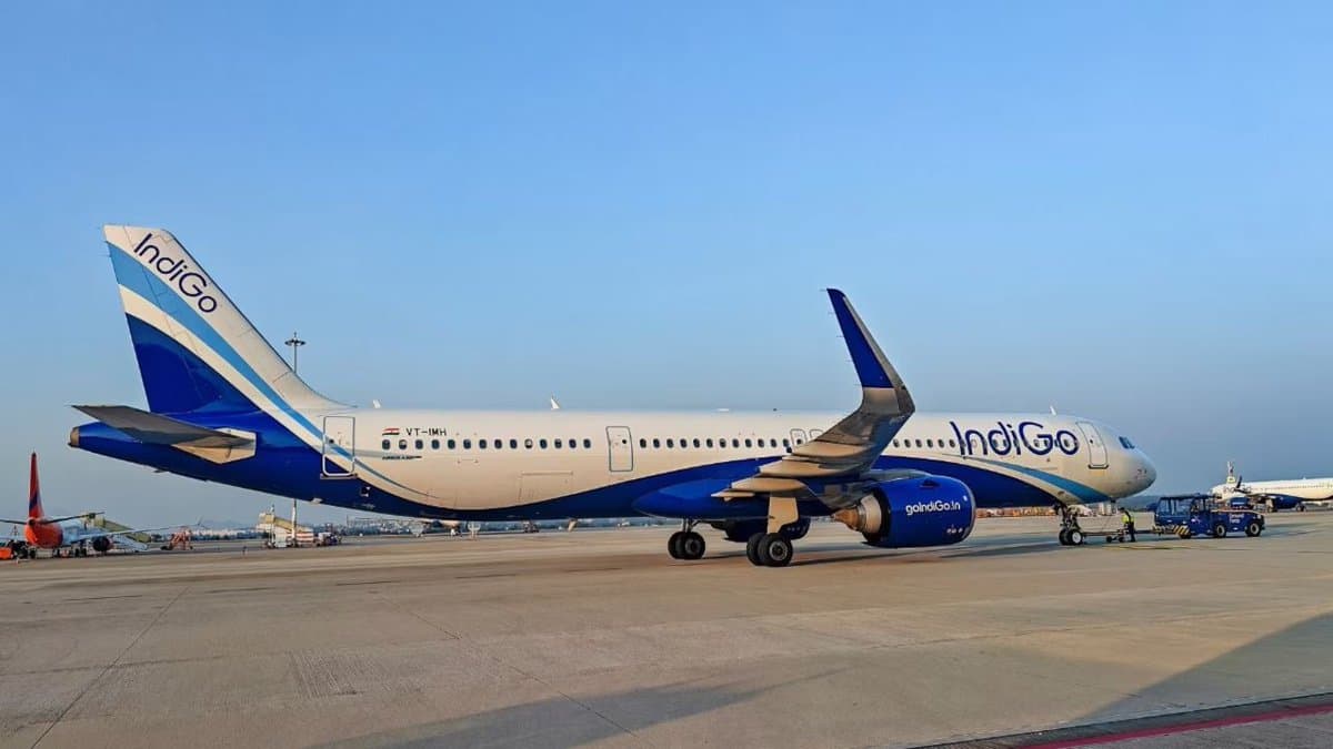 Why is Indigo the market leader of airline industry ?