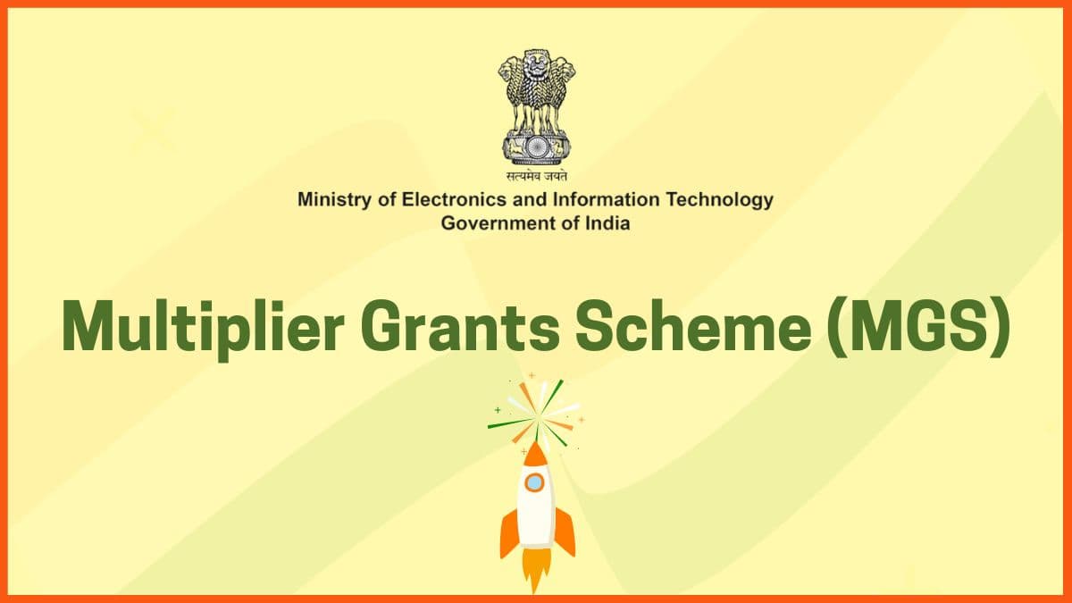 Multiplier Grant Scheme